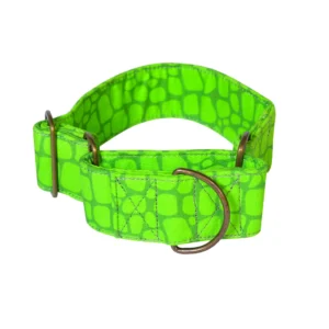 MARTINGALE COLLAR AND LEASH