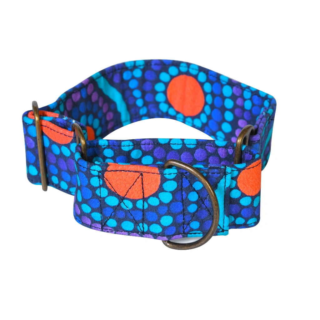 MARTINGALE COLLAR AND LEASH