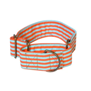 MARTINGALE COLLAR AND LEASH