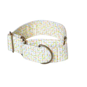 MARTINGALE COLLAR AND LEASH